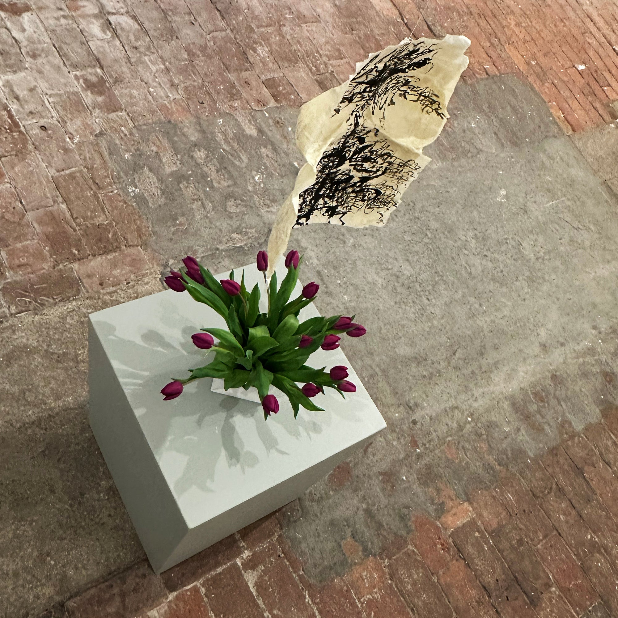 Galerie 6 Aarau
